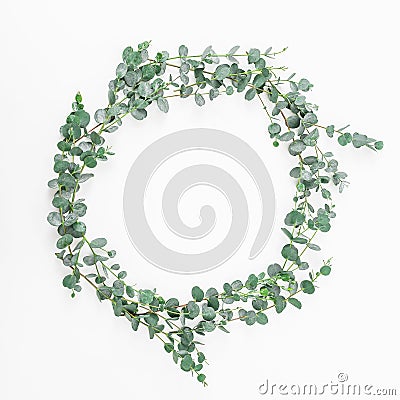 Found frame made of eucalyptus branches on white background. Flat lay, top view Stock Photo