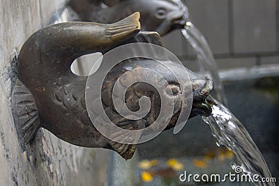 Fountain in the form of fish. Stock Photo