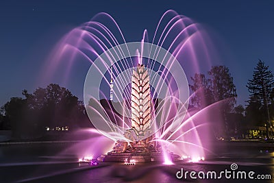 Fountain `Golden Ear` `Golden Ear` in pink lighting on the territory of the All-Russian Exhibition Center VDNH in the even Editorial Stock Photo