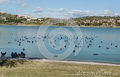 Fountain Hills Arizona Stock Photo