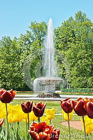 Fountain in lower park, peterhof, russia Stock Photo