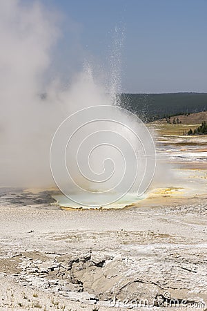 Fountain Paint Pot trail between gayser, boiling mud pools and burnt trees in in Yellowstone National Park Stock Photo