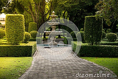 Fountain in the park with hard sunlight.Green shrub wall natural texture background with the ground conc Stock Photo