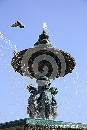 The fountain Stock Photo