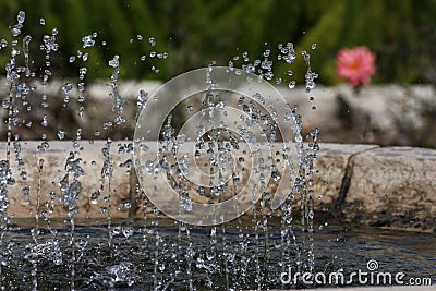 A beautiful fountain in the Roses garden. Splashing water Stock Photo