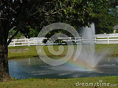 Fountain tree rainbow Stock Photo