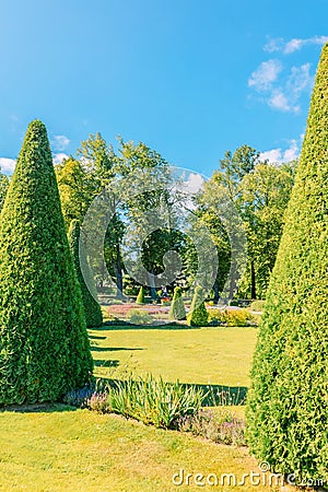 Fountains of Peterhof. View of Roman fountains in Lower park of Peterhof. Beautiful garden with green grass, shrubs and Editorial Stock Photo