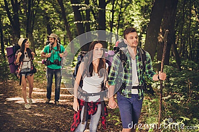 Four best friends are walking in autumn forest, amazed by the beauty of nature, wearing comfortable outfits for hiking, sneakers, Stock Photo