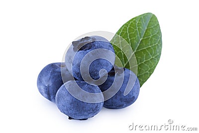 Four blueberries isolated on white Stock Photo