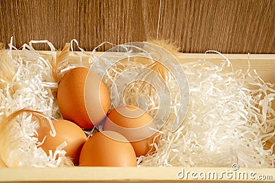 Four brown Chicken `s eggs and hen`s feather on white shredded paper in wooden basket and brown background Stock Photo
