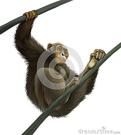 Chimpanzee climbing on liana. Isolated Illustartio Stock Photo