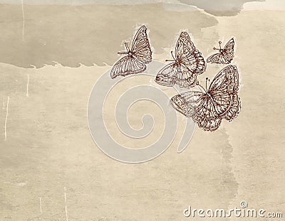 Four butterflies in flight Cartoon Illustration