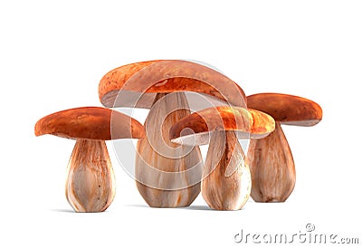 Four ceps mushrooms isolated on white 3d illustration Stock Photo