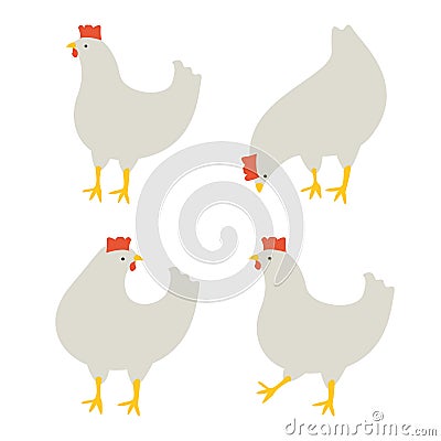 Four chicken Vector Illustration