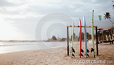 Four colorful surfboards standing on the sandy wide beach prepared for renting service, Weligama, Sri Lanka Stock Photo