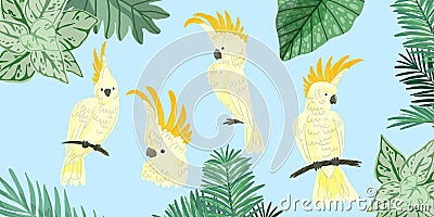 Four cute kakadu, tropical birds, hand drawn Vector Illustration