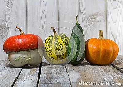 Four decorative pumpkin on wood background Stock Photo