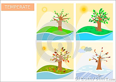 Four different square shaped season type icons / simplistic drawings Stock Photo