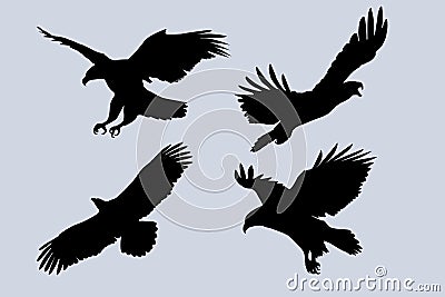 Four eagles flying silhouettes set vector illustrations Vector Illustration