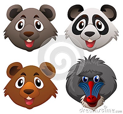 Four faces of wild animals Vector Illustration