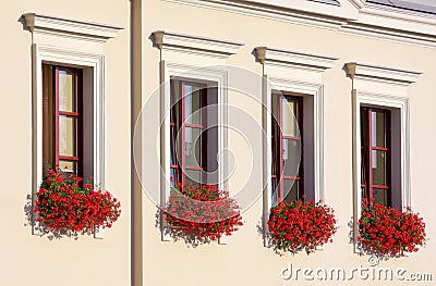 Four flowery windows in a row Stock Photo