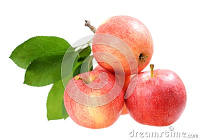 Four fresh apples Stock Photo