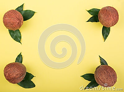 Four fresh coconuts on a bright yellow background. Perfectly organized coconuts full of tasty vitamins with leaves. Stock Photo