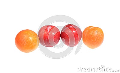 Four fresh plums Stock Photo