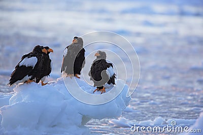 Four friends Stock Photo