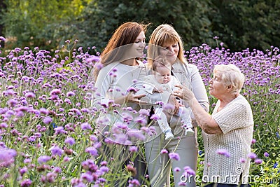 Four generations of women in a beautiful lavender field Stock Photo