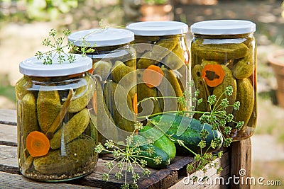 Four glasses of pickled cucumbers Stock Photo