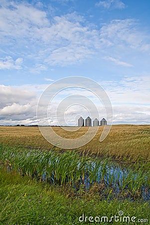 Four grain bins in a field Stock Photo