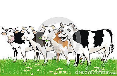 Four Happy Spotted Cows in Grass Vector Illustration