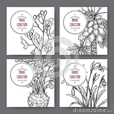 Four labels with common hawthorn, celery, papaya tree and snowdrop sketch. Vector Illustration