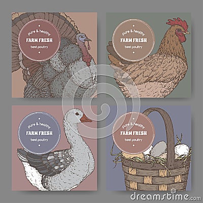 Four labels with hand drawn color poultry sketches. Vector Illustration