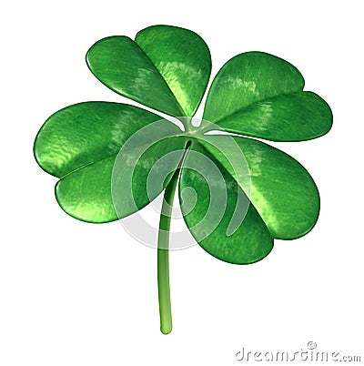 Four Leaf Clover Stock Photo