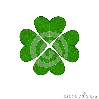 Four-leaf clover on a white background Stock Photo