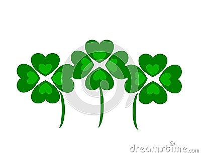 Four Leaf Clovers or Shamrocks Stock Photo