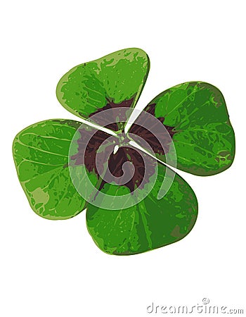 Four-leafed Clover 02 Stock Photo