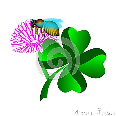 Four leafed clover with flower and bee Vector Illustration