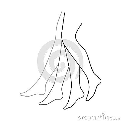 four linear grey legs sign Vector Illustration