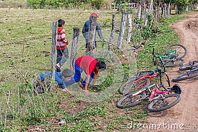Four little Paraguayan boys crawl under a fence to their bicycles. Editorial Stock Photo