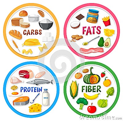 The four main food groups Vector Illustration