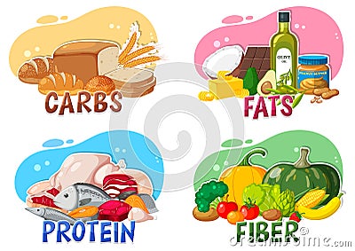 The four main food groups Vector Illustration
