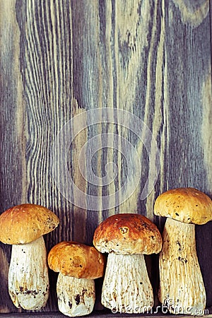 Four mushrooms boletus close up on wooden background. Fresh forest mushrooms Stock Photo