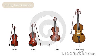 Four Musical Instrument Strings on White Backgroun Vector Illustration