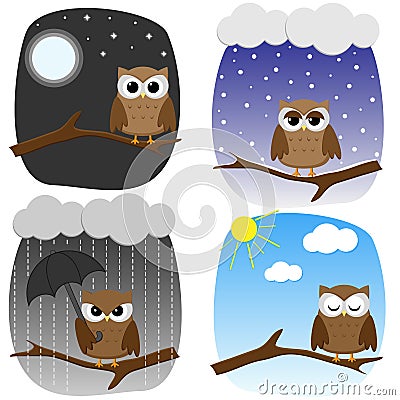 Four owls on branch Vector Illustration