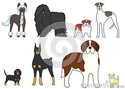 Four pairs of contrasting Dogs Stock Photo