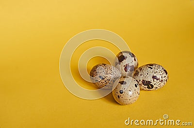 Four quail eggs lie next to each other on a yellow background Stock Photo