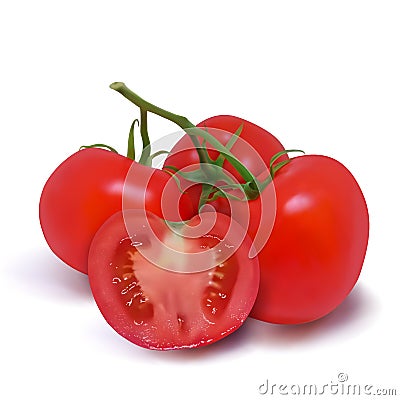 Four ripe red tomatoes on a branch Vector Illustration